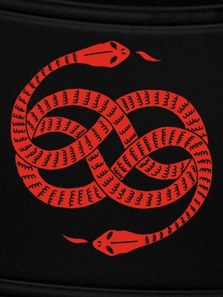Infinite Red Snakes