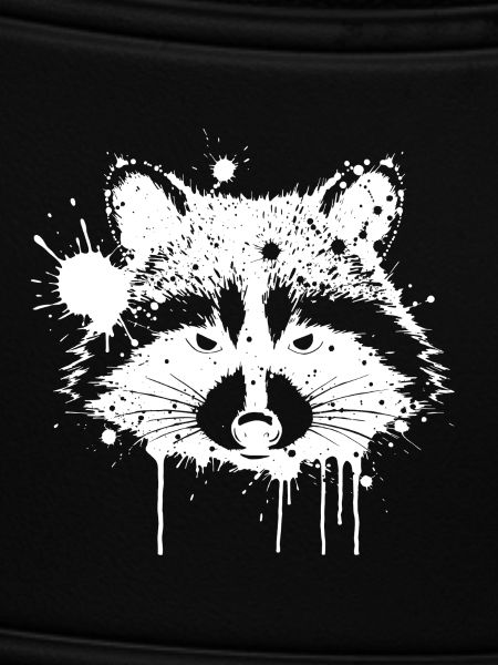 Waschbär-Splash-Graffiti