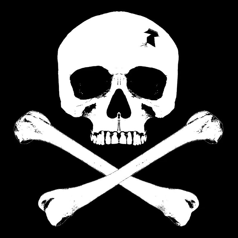 Drapeau pirate / crâne avec os croisés