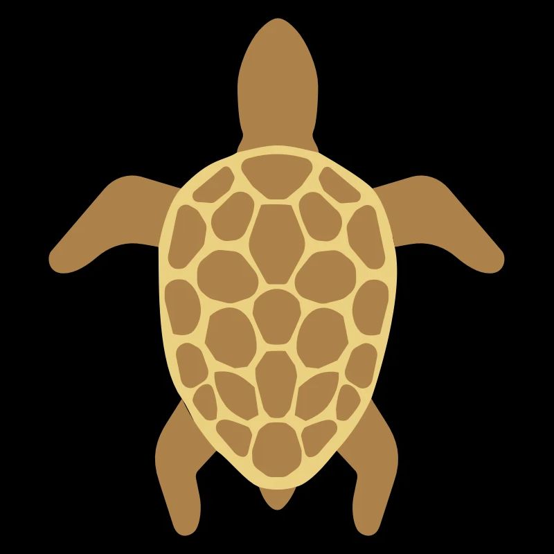 Tortue de mer