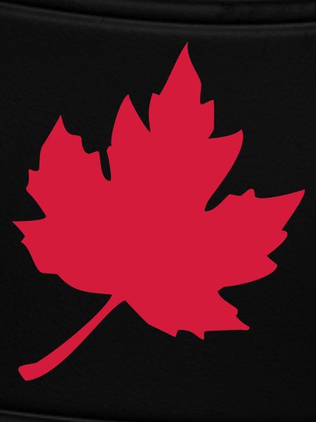 feuilles d'érable