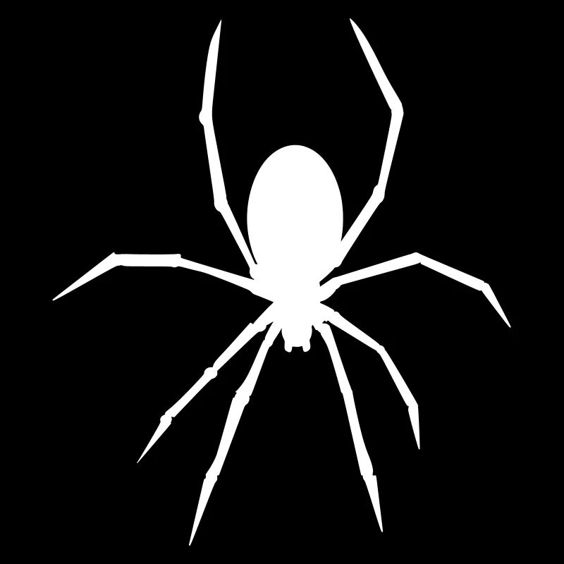 Spider - Animal - Spider