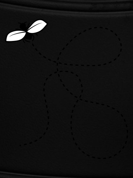 Dashed Line Fly