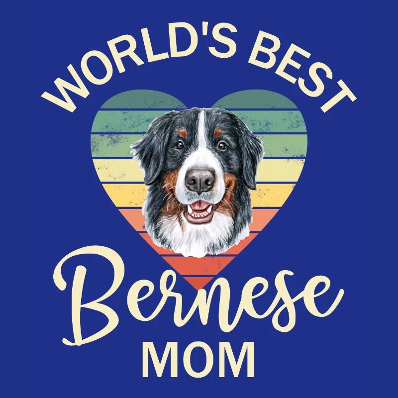 Bouvier bernois