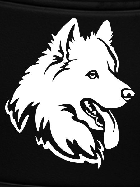 Samoyed Head "Black Edition"