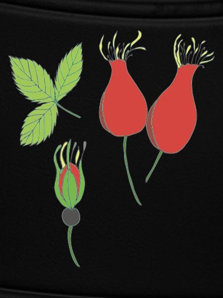 rose hip
