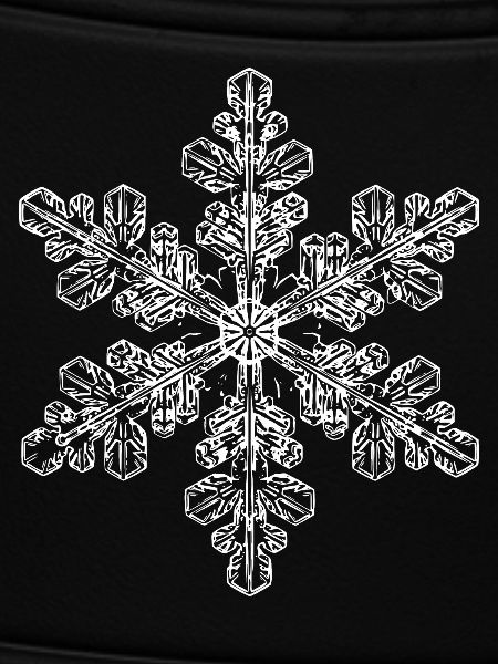 snowflake 6 white