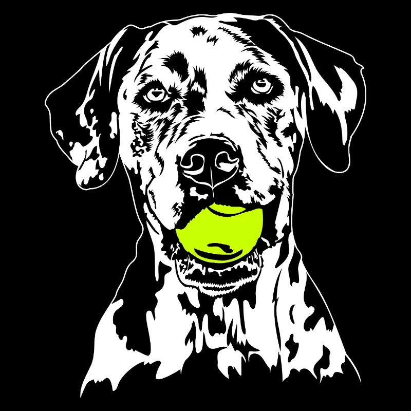 Catahoula Leopard Dog Hunde Hund Wilsigns