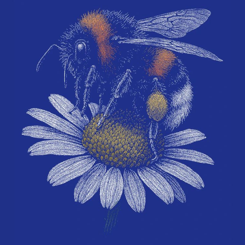 Bumblebee