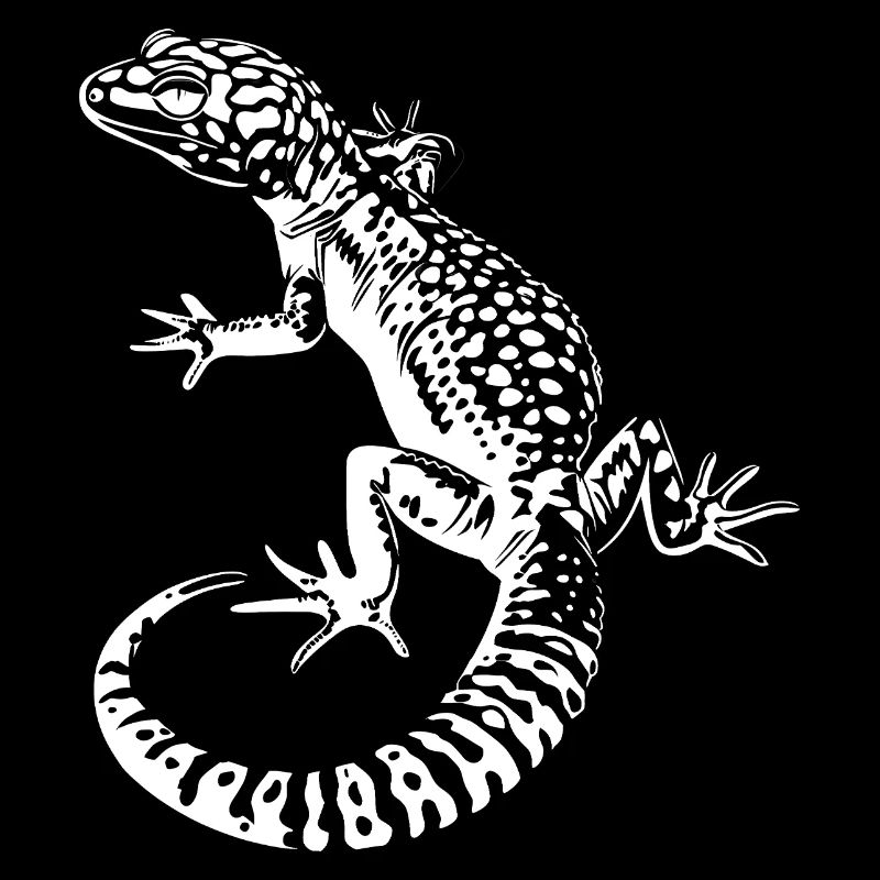 Gecko Léopard Gecko Contraste