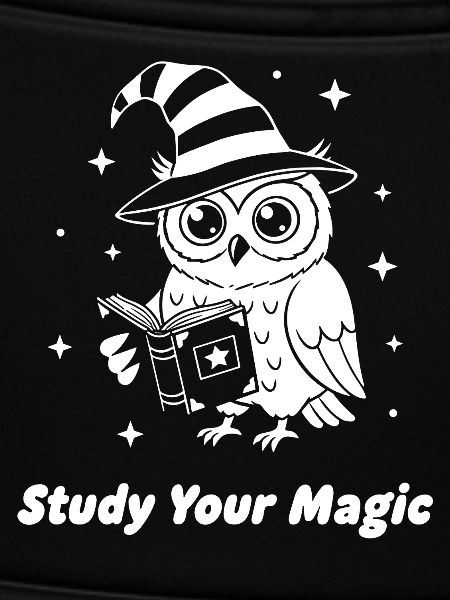Magic owl learns magic
