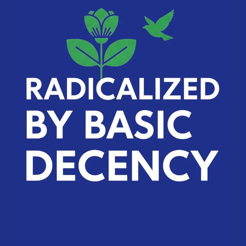 Radicalized By Basic Decency Statement shirt decal