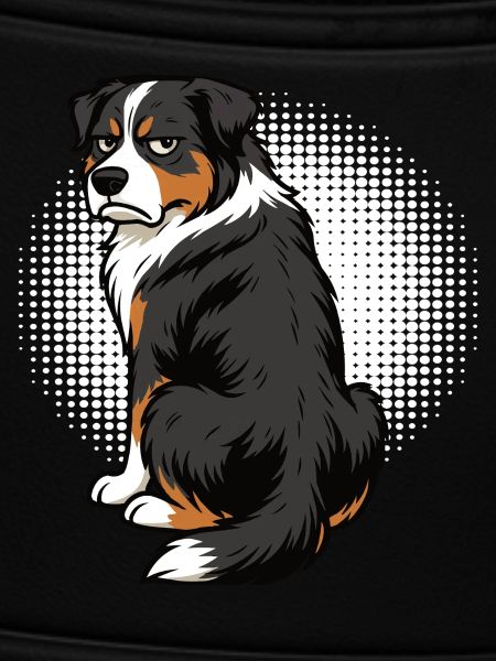 Australian Shepherd Aussie Aussiebesitzer Aussies