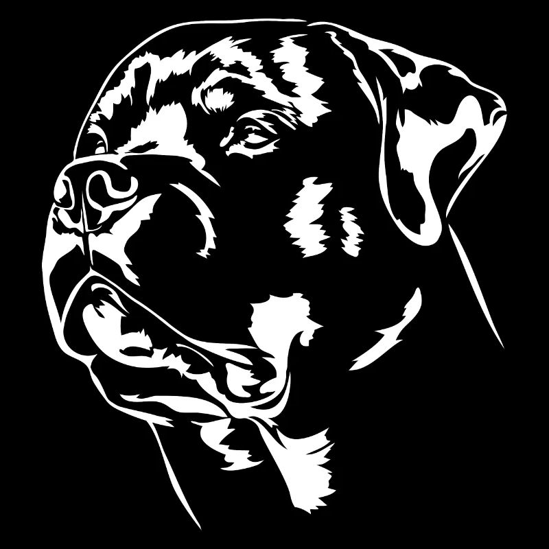 Rottweiler Portrait Hunde Hund Rottie Wilsigns