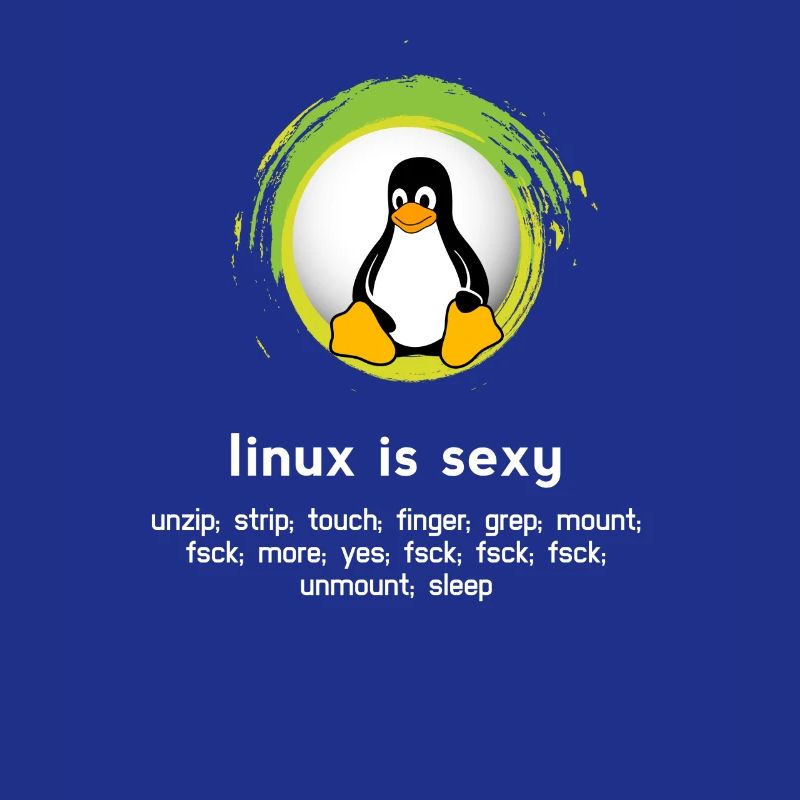 Computer System Pinguin Nerd pc inside code admin