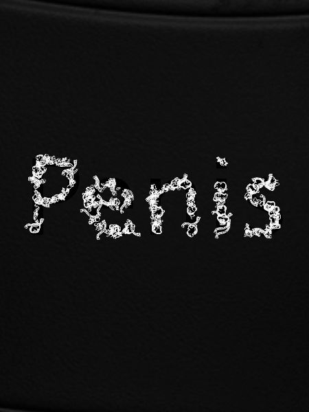 penis gift