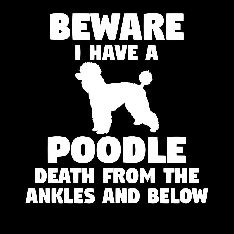Poodle Dog Beware I Have A Poodle