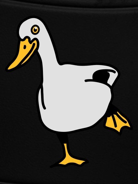 duck