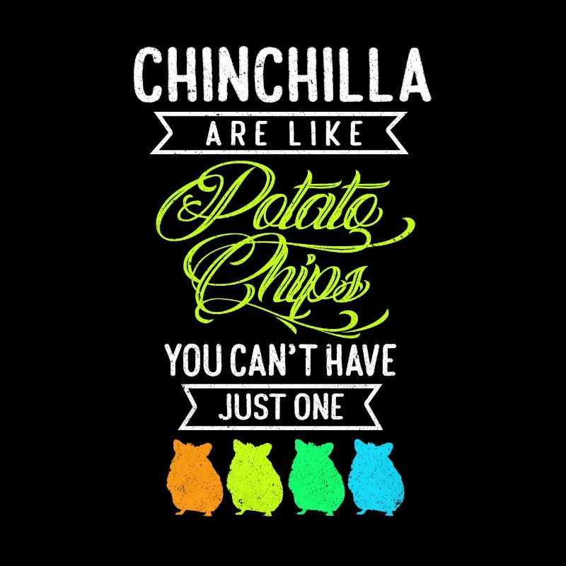 Chinchilla