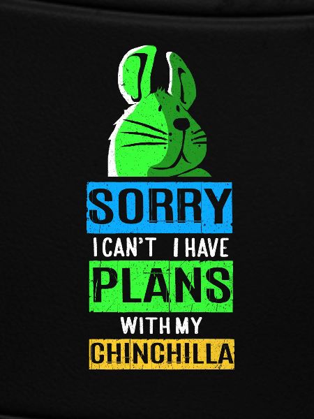 Chinchilla