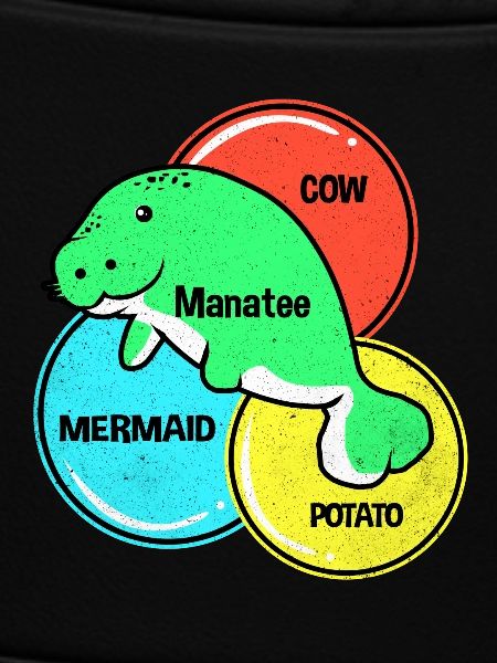 Manatee