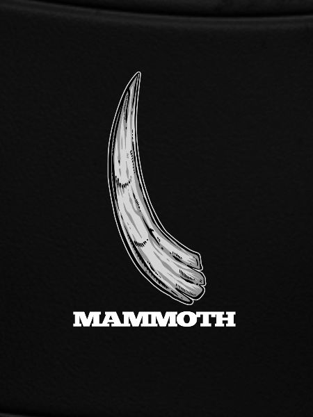 Mammoth ivory tusks