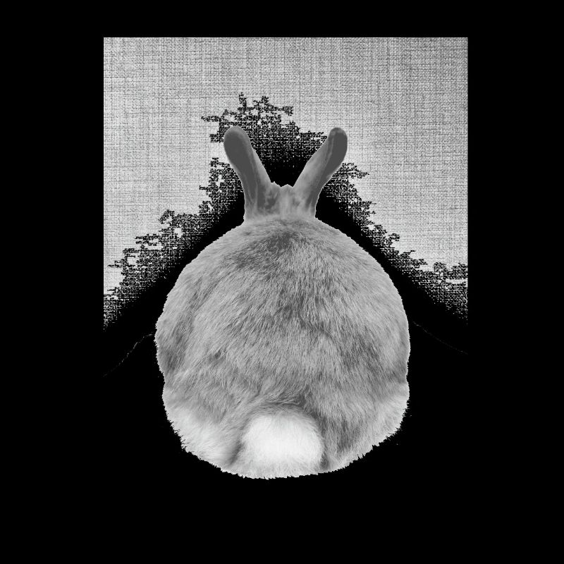 Bunny from behind