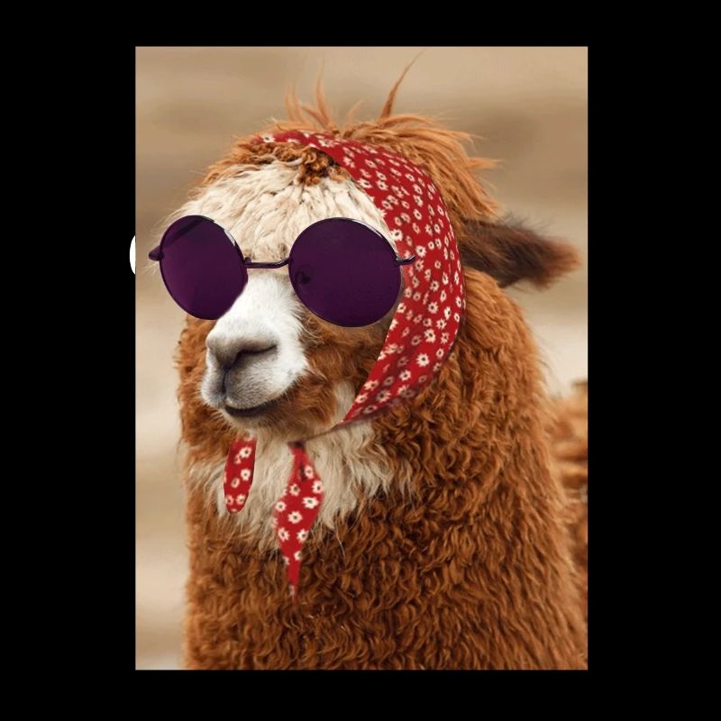Alpaca with sunglasses
