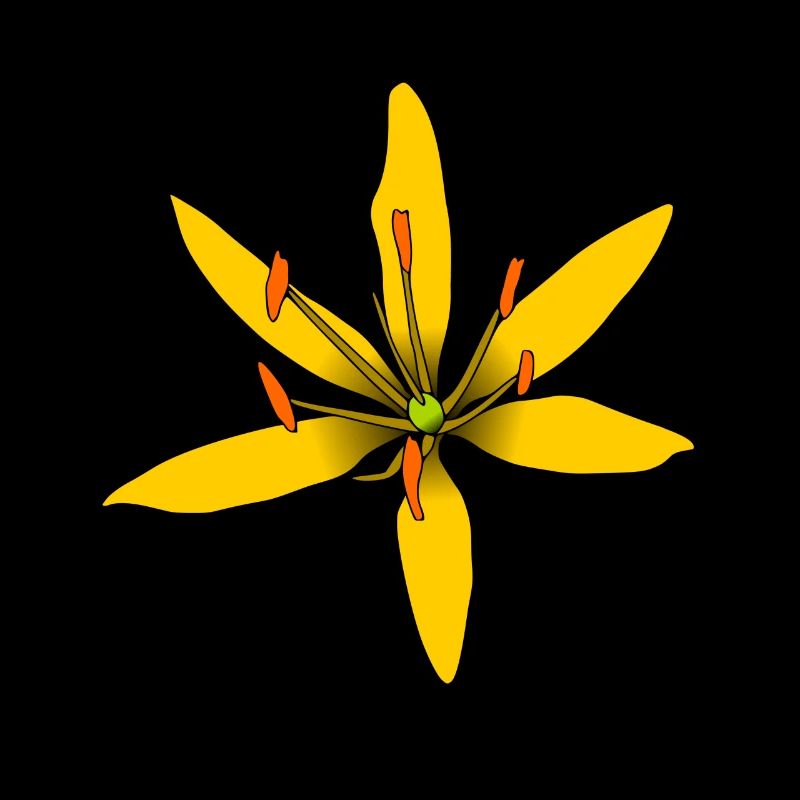 fleur jaune merveilleuse, fleur