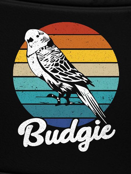 Budgie
