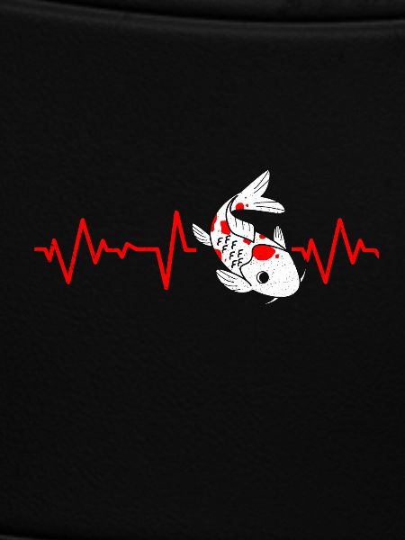 Koi
