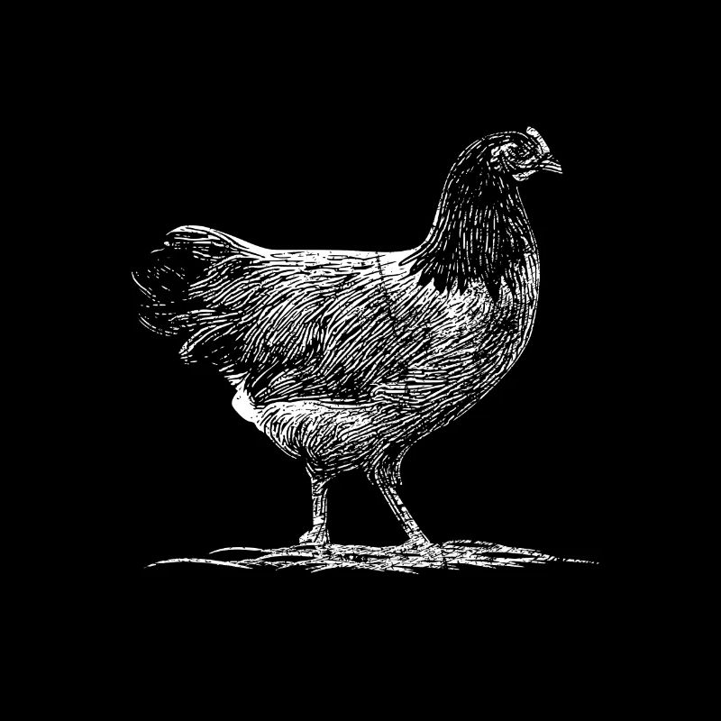 Poulets pré-bourses