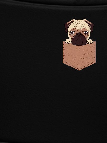 Pug