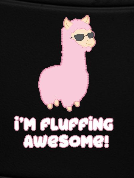 Cool Llama