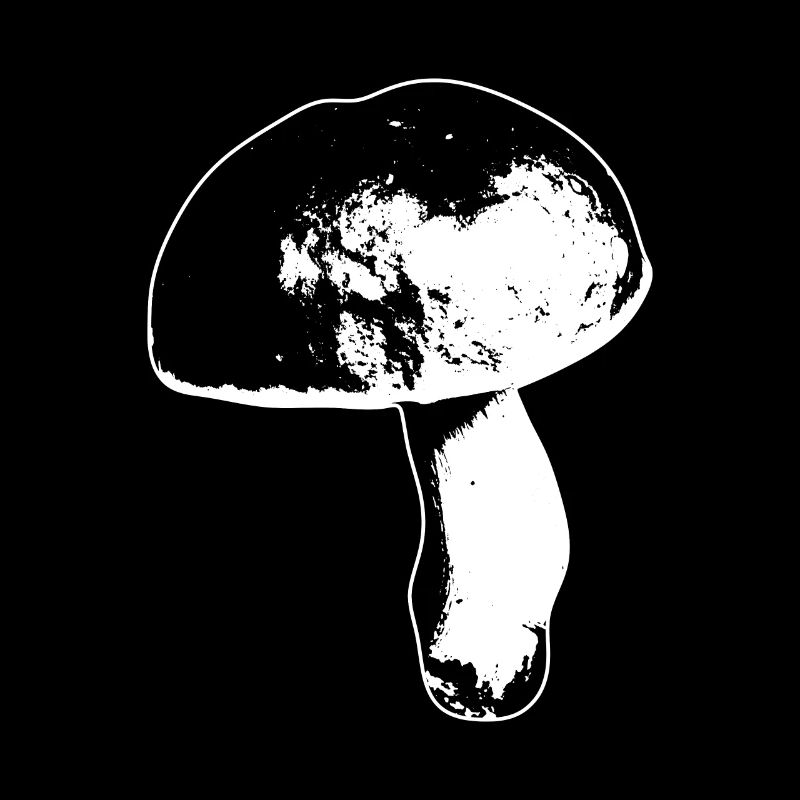 Cueillette de champignons cèpes