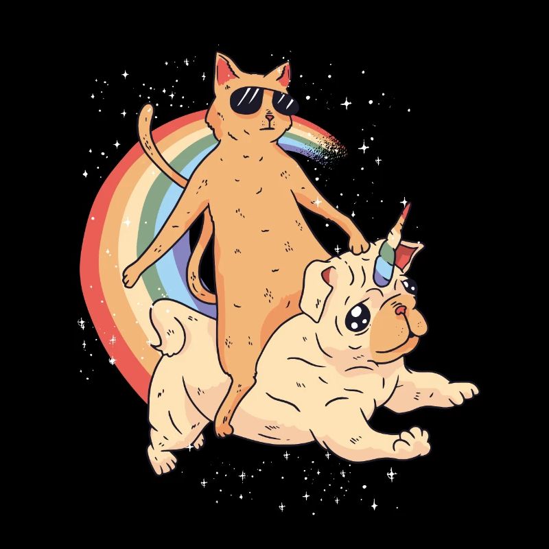 Chat cheval chien licorne sur arc-en-ciel