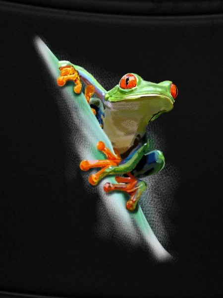 Frog