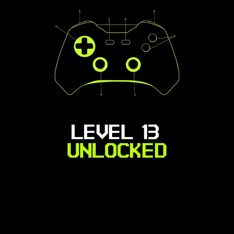 Geburtstagsshirt Level 13 unlocked complete