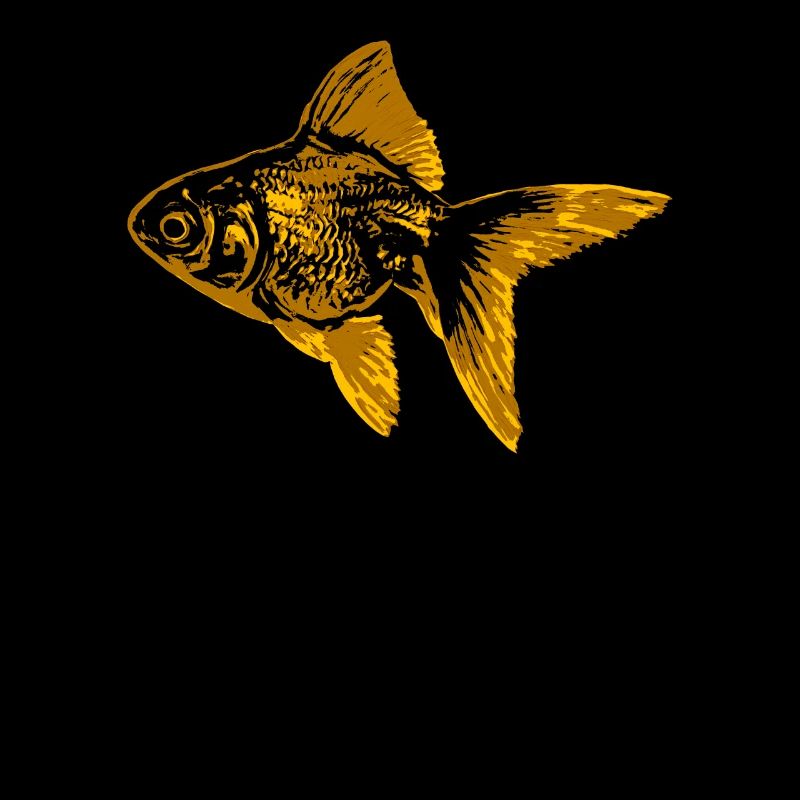 Goldfish Fish Fish