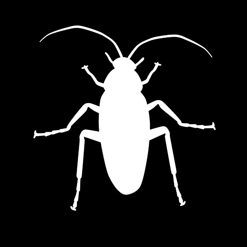 Cafard cafard insecte insecte parasite panique