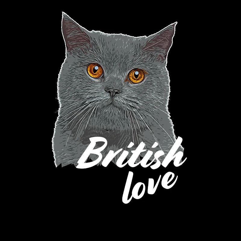 BKH Britisch Kurzhaar Britische Kurzhaar Katze
