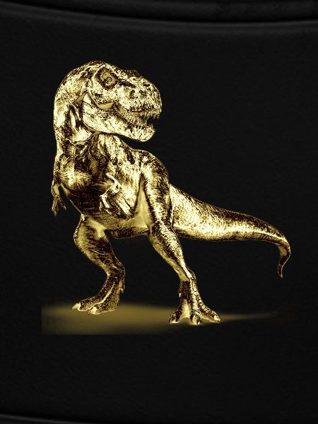 T-Rex Dinosaur Illustration