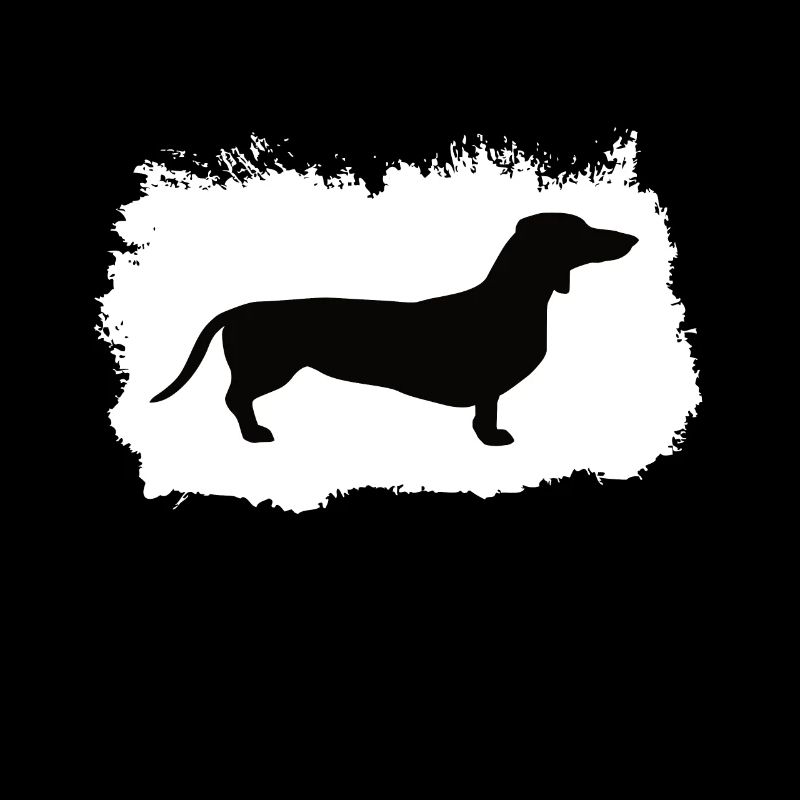 dachshund