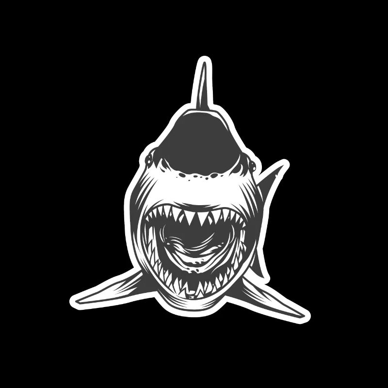 Requin requin