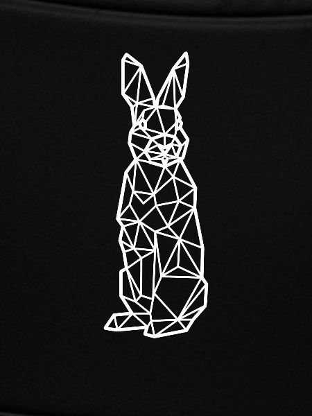 Bunny polygon