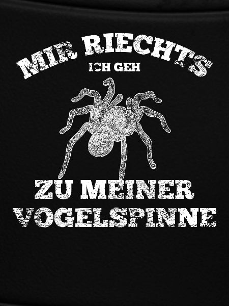 Spinne