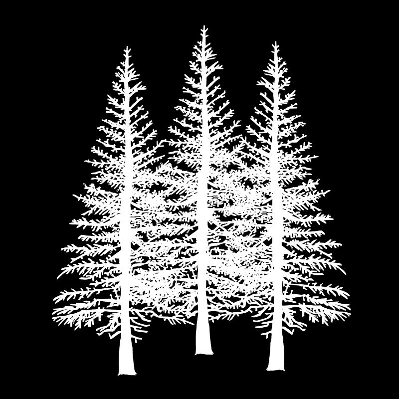 Forest tree trees nature conservation ecology environment