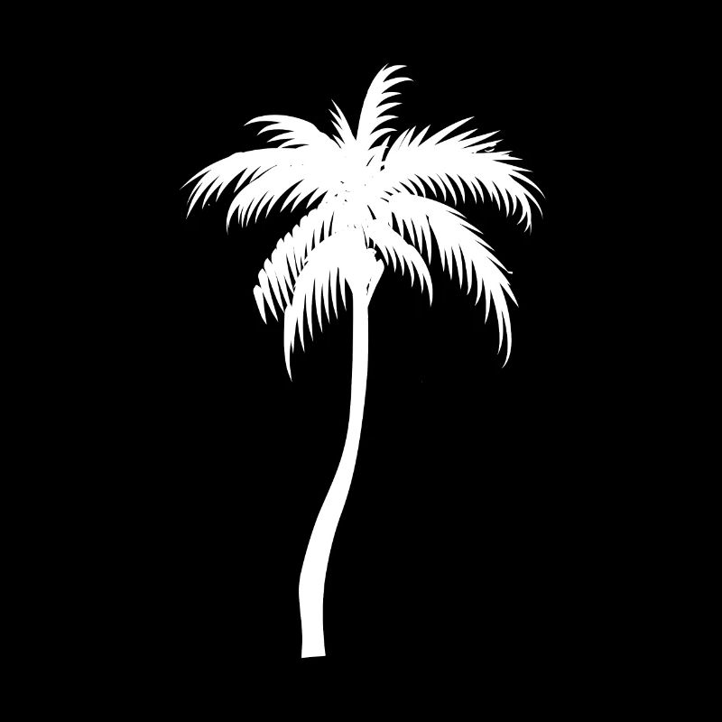 Palm tree palm