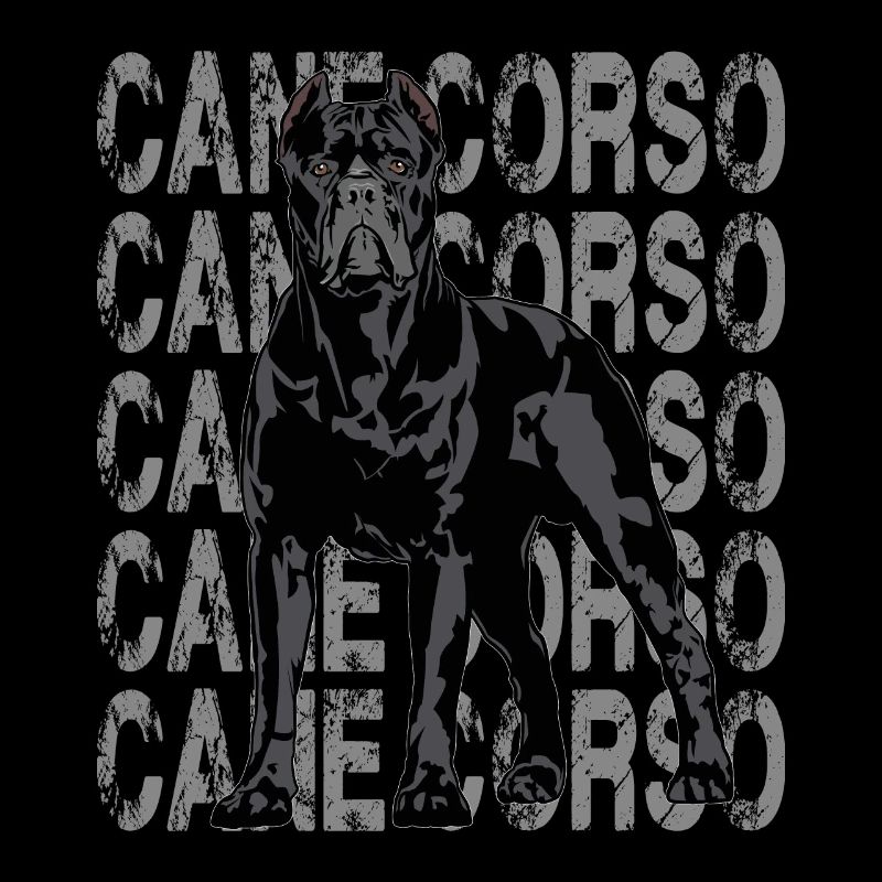 Cane Corso Molosser Mastiff Italien