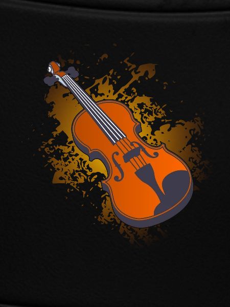 Violin violin